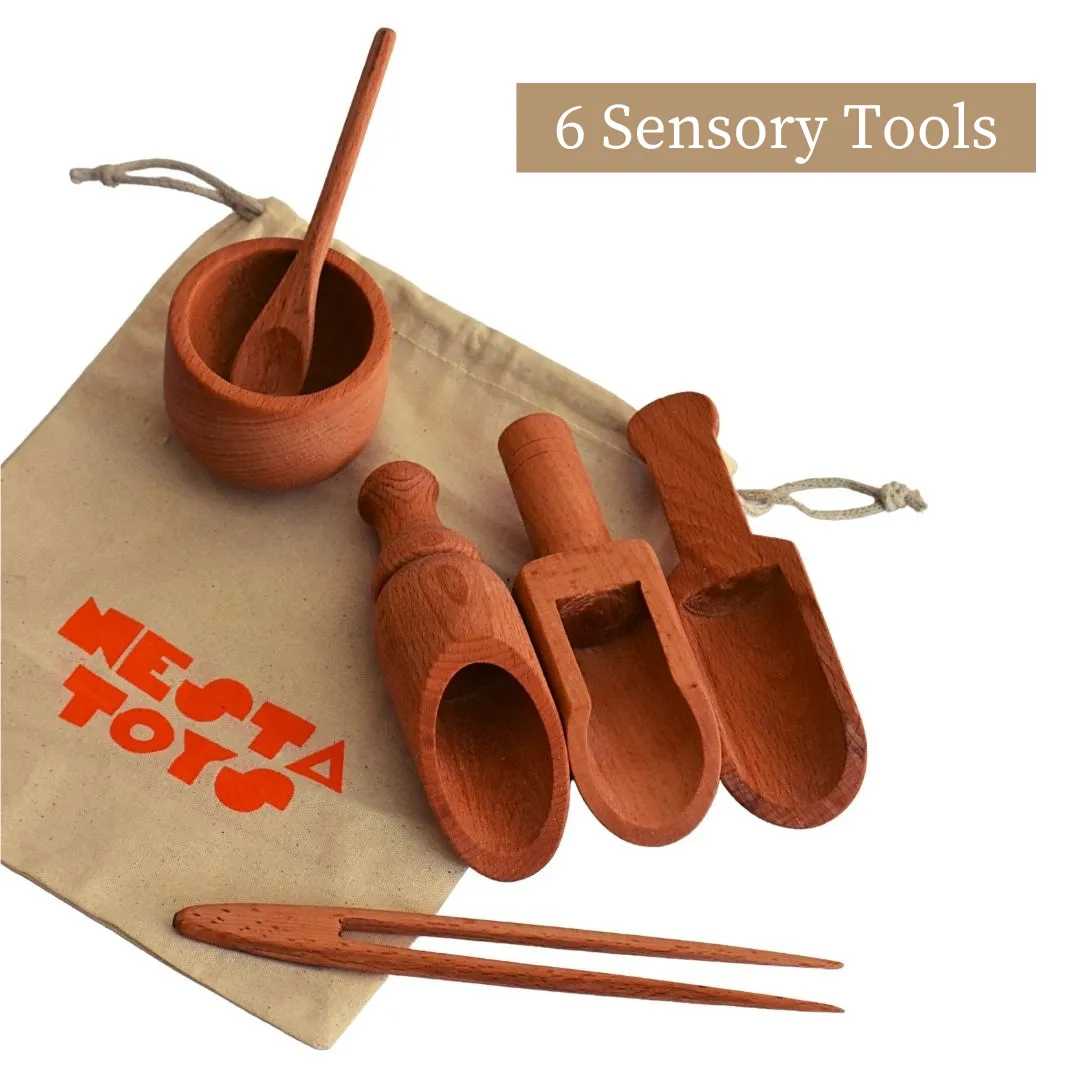 NESTA TOYS - Sensory Tool Kit - Sensory Bin Tools, Egg Shaker, Rainbow Blocks (6  Months)