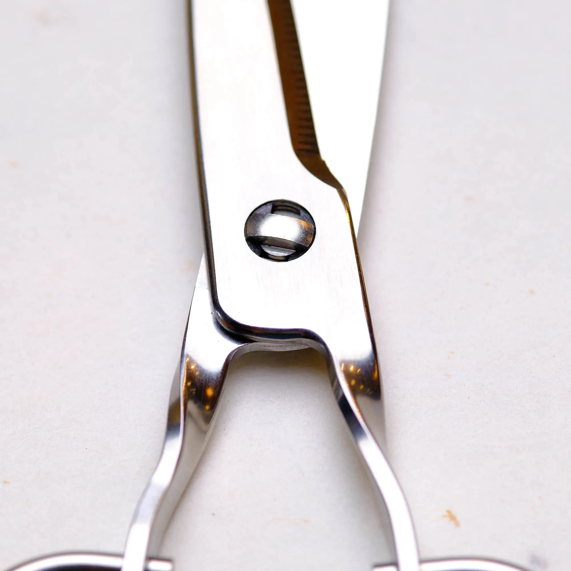 Stainless Steel Japanese Kitchen Scissors
