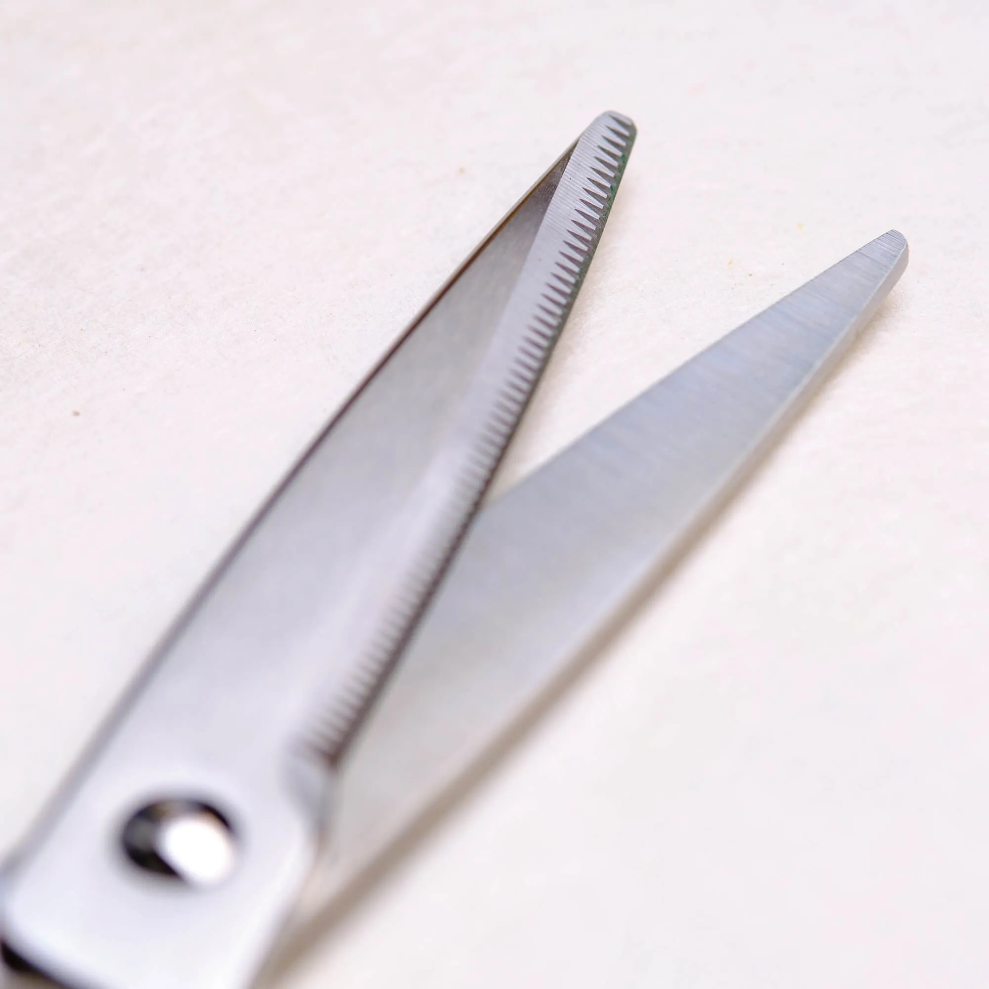 Stainless Steel Japanese Kitchen Scissors